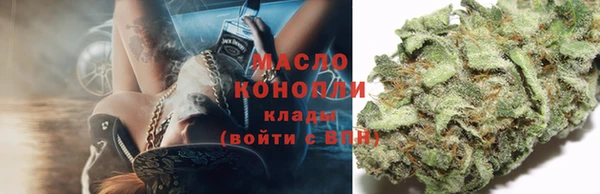 стафф Карпинск