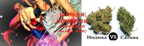 стафф Карпинск