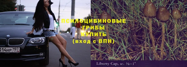 стафф Карпинск