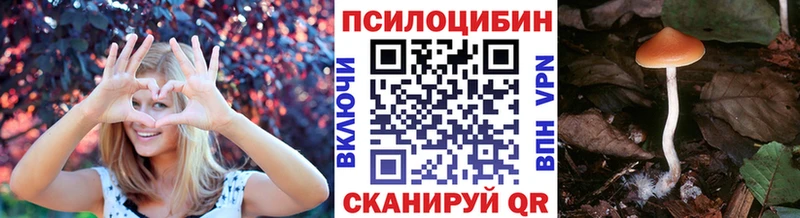 Купить где  Ахтубинск  Галлюциногенные грибы Cubensis 